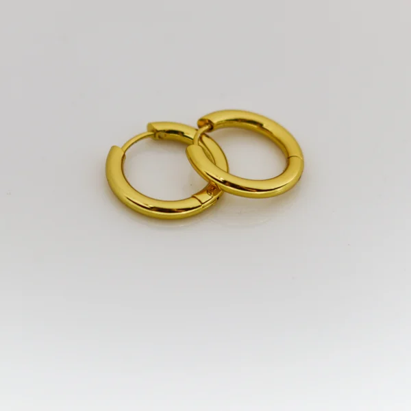 Everyday Gold Plated Earring